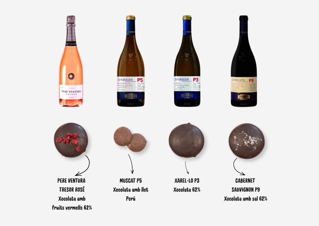 Maridatge de vins i caves amb xocolata + Entrada Museu