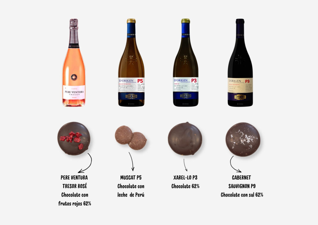 Maridaje de vinos y cavas con chocolate + Entrada Museo